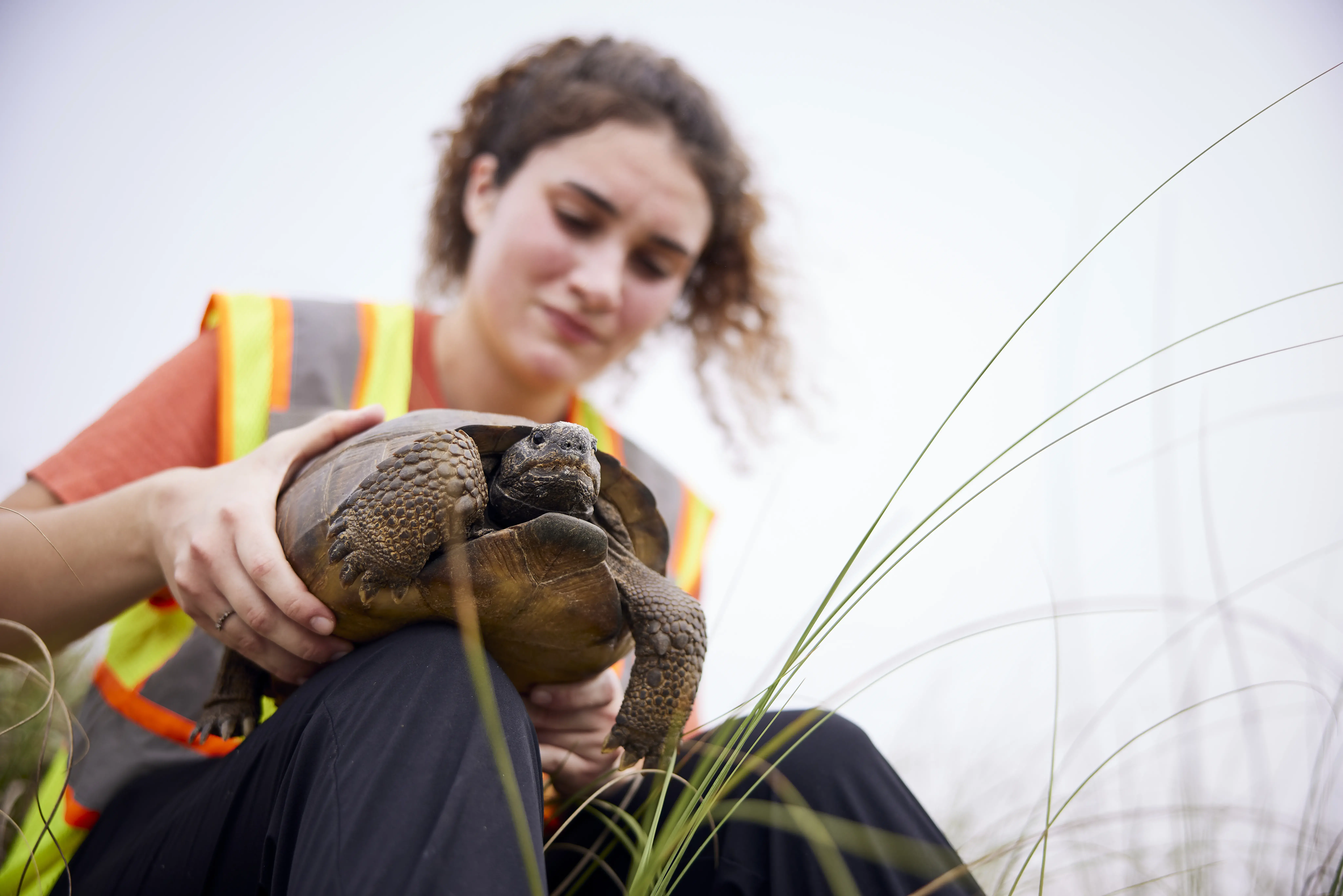 A Flagler College student gently holds a tortoise.
