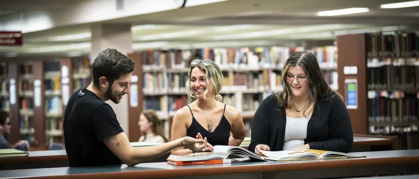 Students working in Library