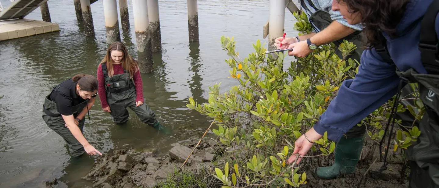 Students in the Field
