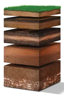 Graphic showing layers of soil