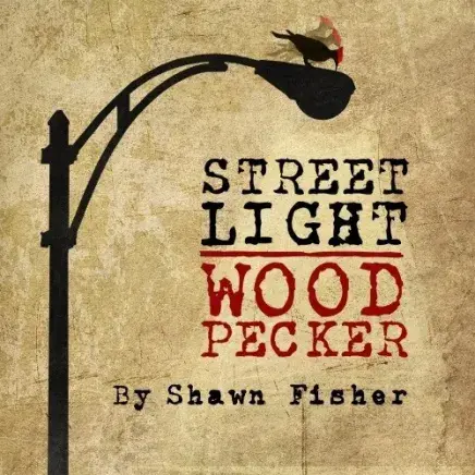 Streetlight Woodpecker production graphic