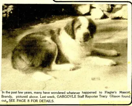 Newspaper clipping of Brandy the St. Bernard mascot