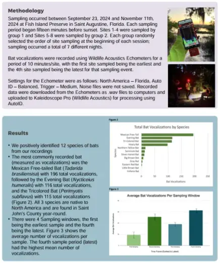 Bat Research Posters