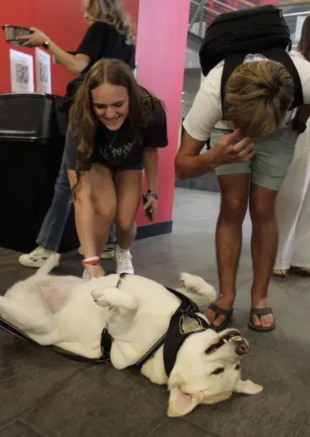 Two students petting a therapy dog