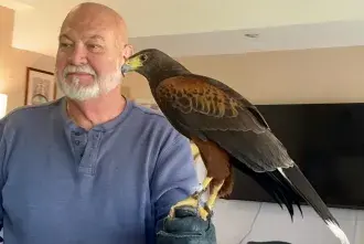 Dan McCook holding a falcon on his left arm
