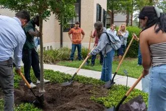 Active tree planting taking place at the Arbor Day event