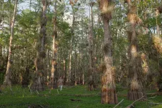 River of Grass directed by Sasha Wortzel
