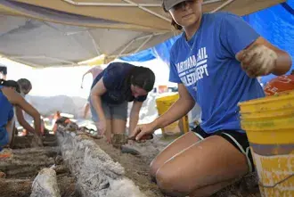 Student conducting field archaeology work 