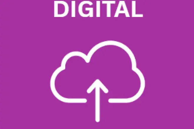 Digital Wellness icon