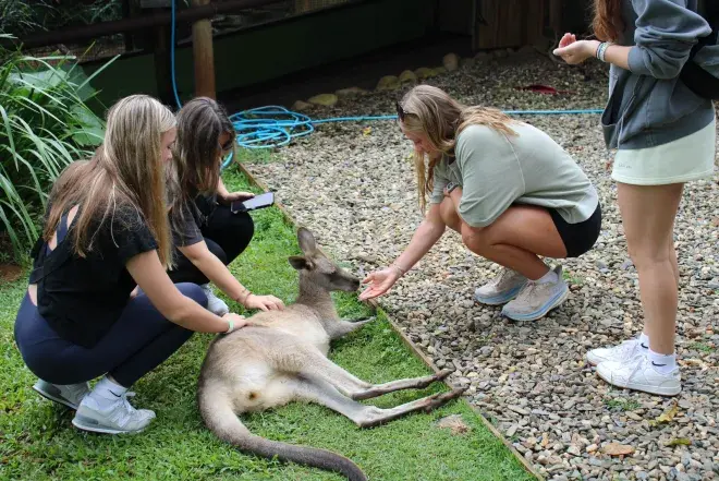 Students feeding kangaroo
