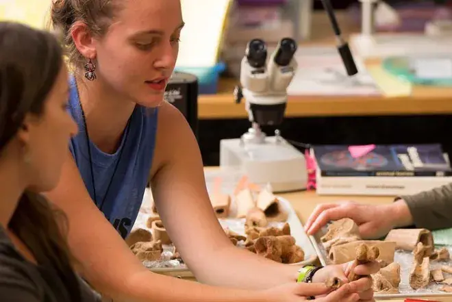 Undergraduate Research header image.jpg Students researching bones for an anthropology class