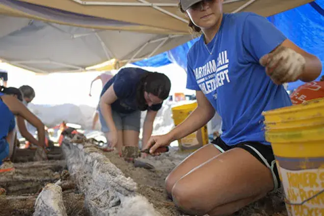 Student conducting field archaeology work 