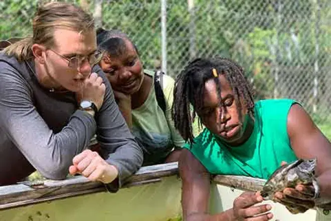 students looking at a turtle 