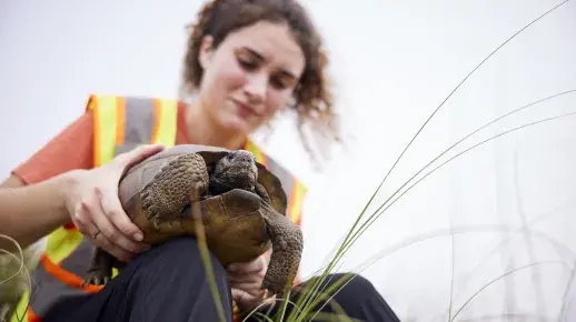 A Flagler College student gently holds a tortoise.