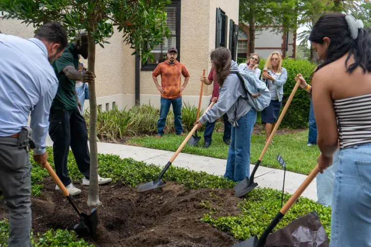 Active tree planting taking place at the Arbor Day event