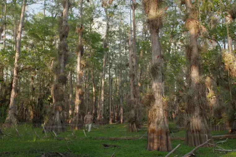 River of Grass directed by Sasha Wortzel