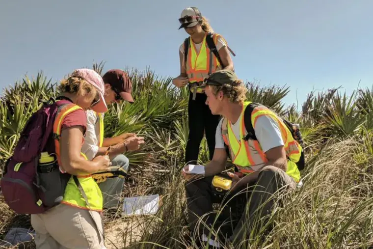 Students conduct research on beach sand dune