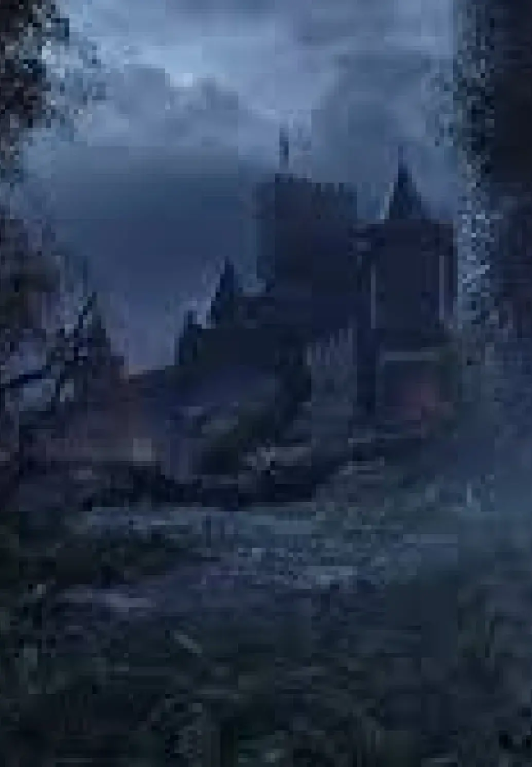 Picture of a dark but intriguing forest.