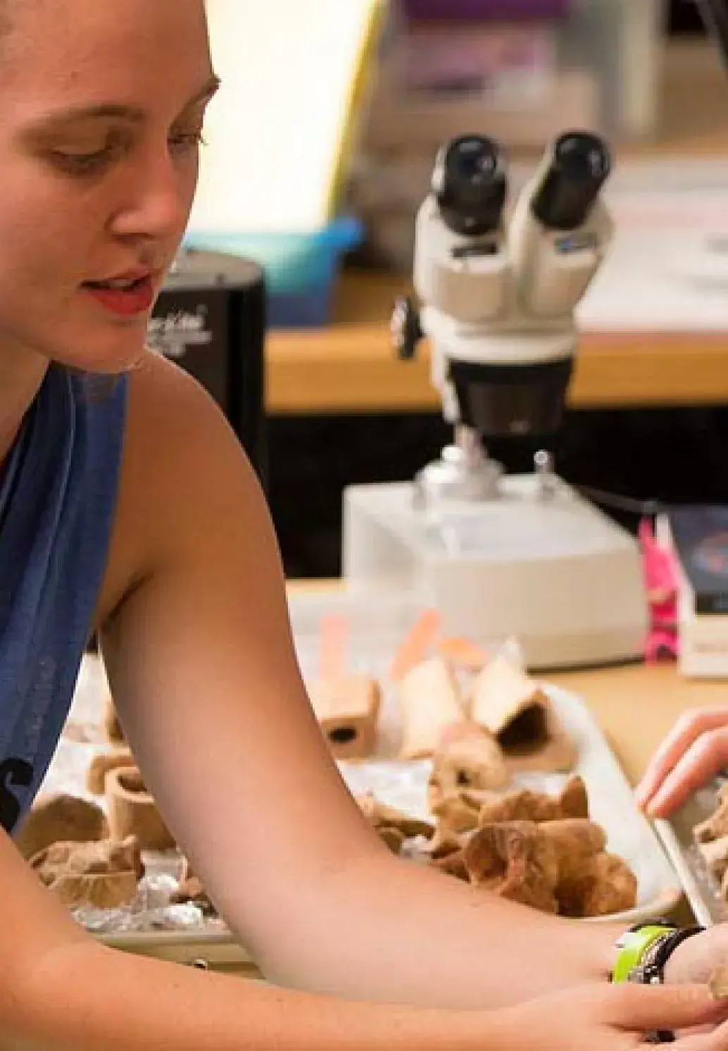 Students researching bones for an anthropology class
