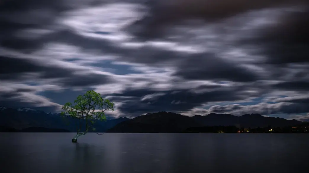 Wanaka Tree at night