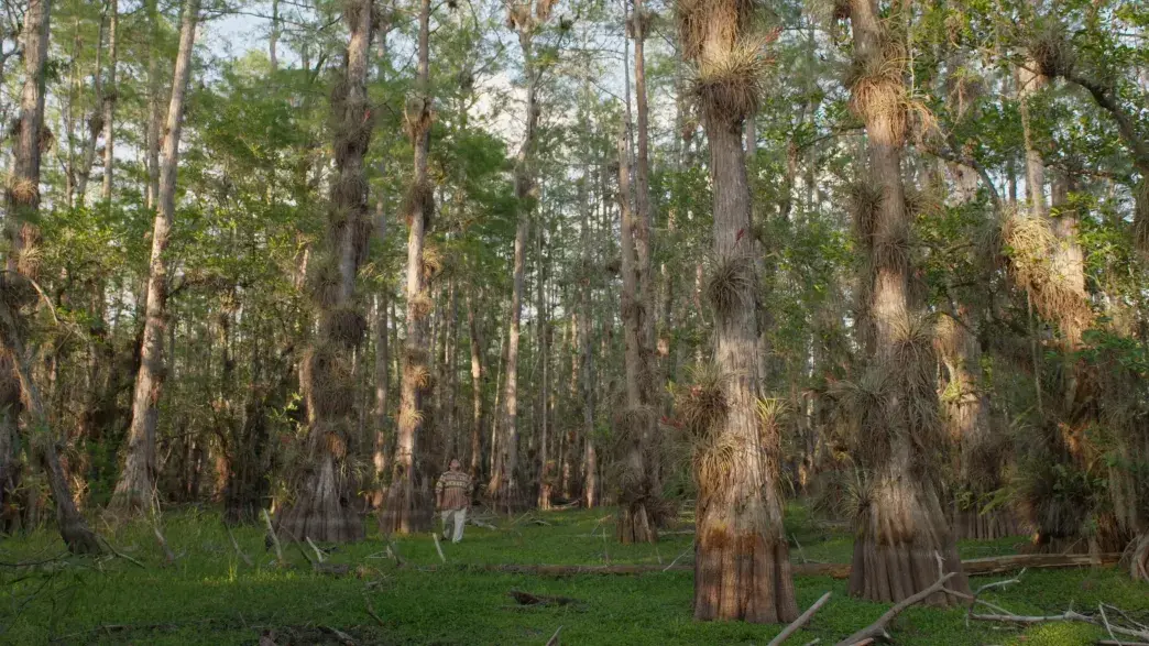 River of Grass directed by Sasha Wortzel
