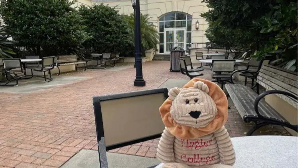 FEC Courtyard - web.jpg A stuffed lion toy sitting on a table in the FEC Courtyard