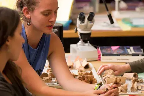 Students researching bones for an anthropology class