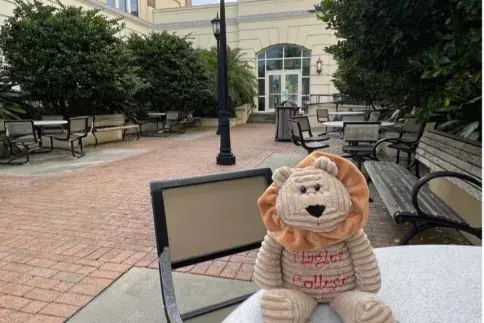 A stuffed lion toy sitting on a table in the FEC Courtyard