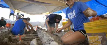 Flagler College students work at a dig site.