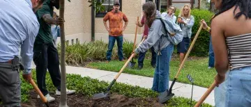 Active tree planting taking place at the Arbor Day event
