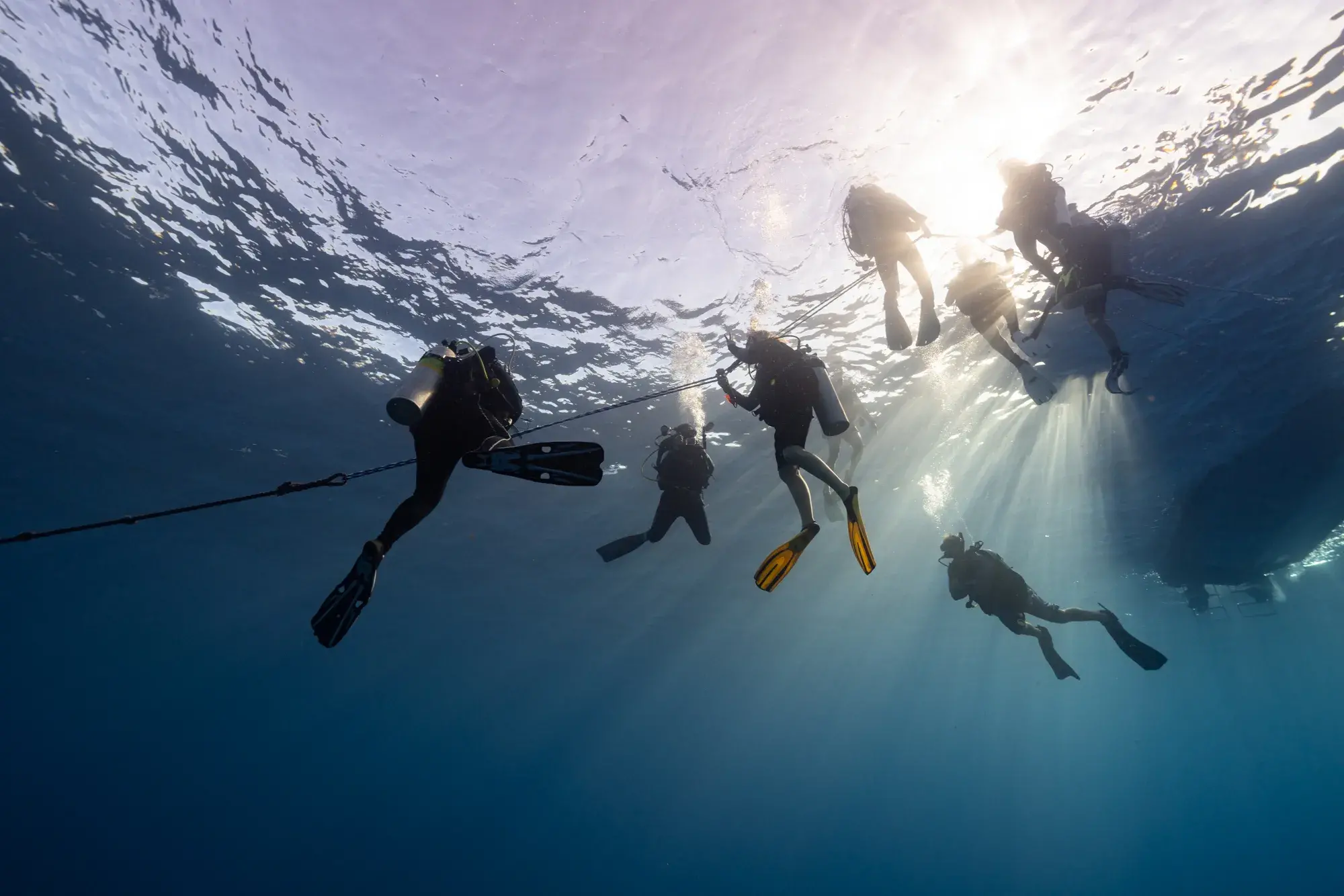 Glickley diving with the expedition team