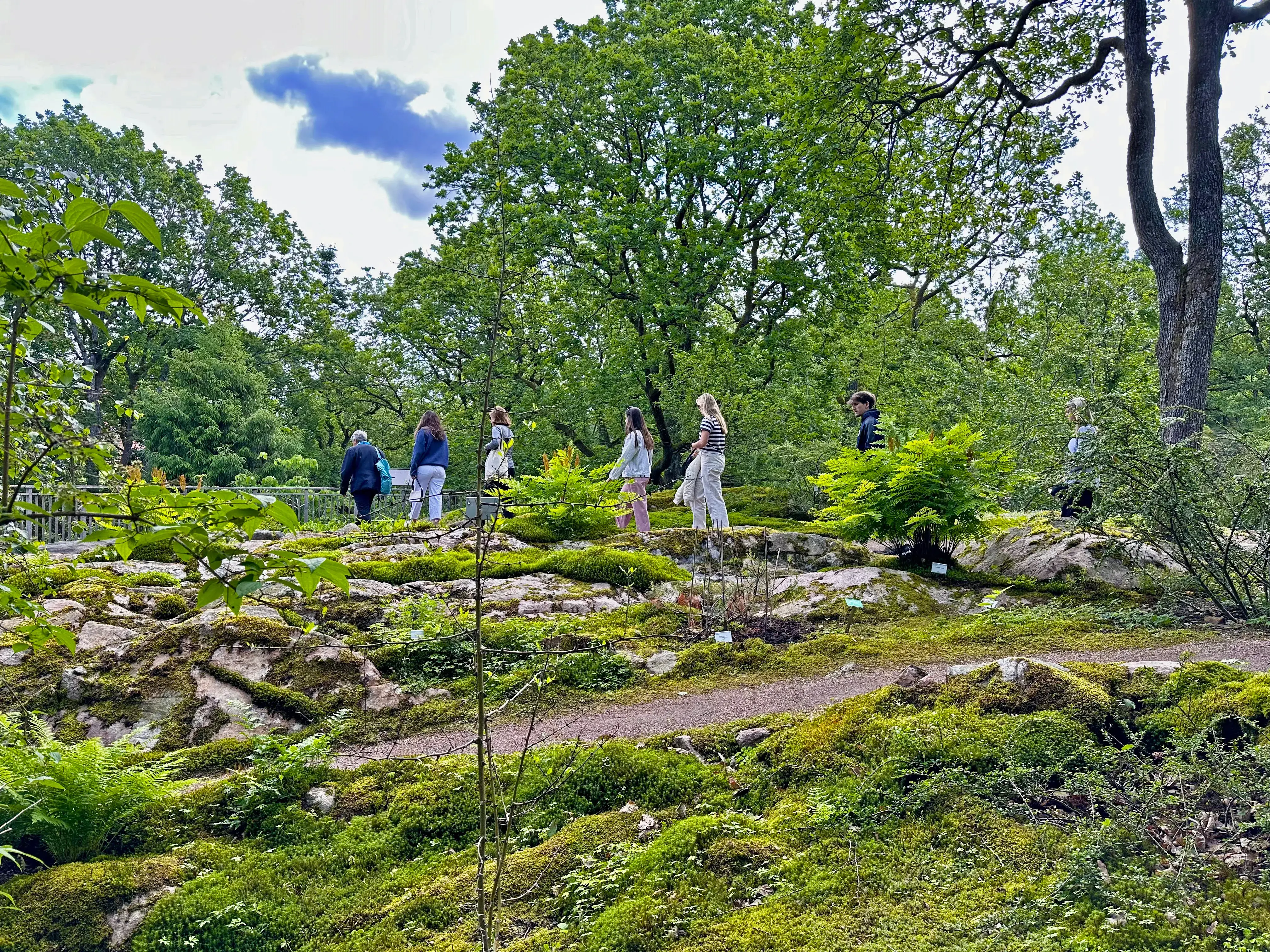 Sweden '24 Botanical Gardens