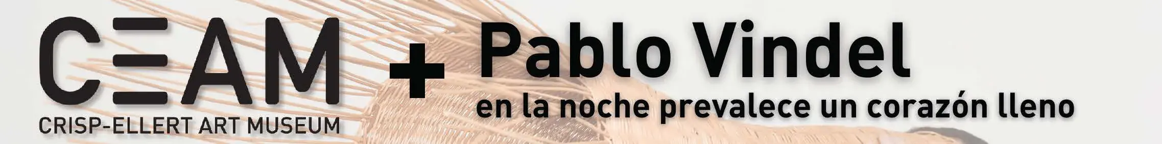 CEAM + Pablo Vindel Graphic
