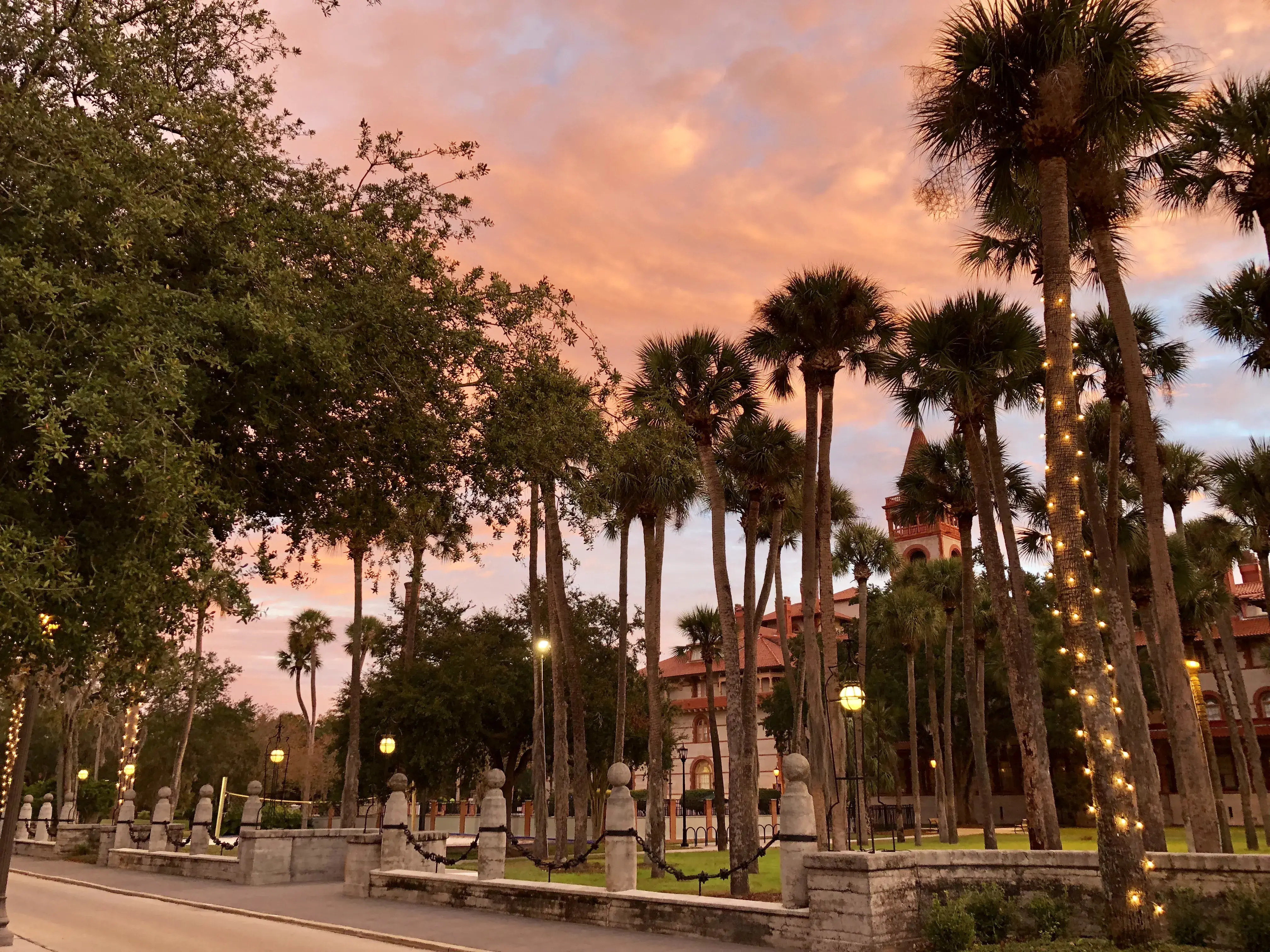 Palm Garden at night