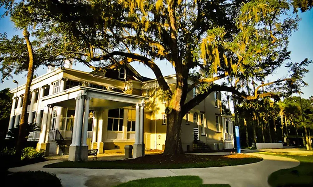 Oak tree at Markland House