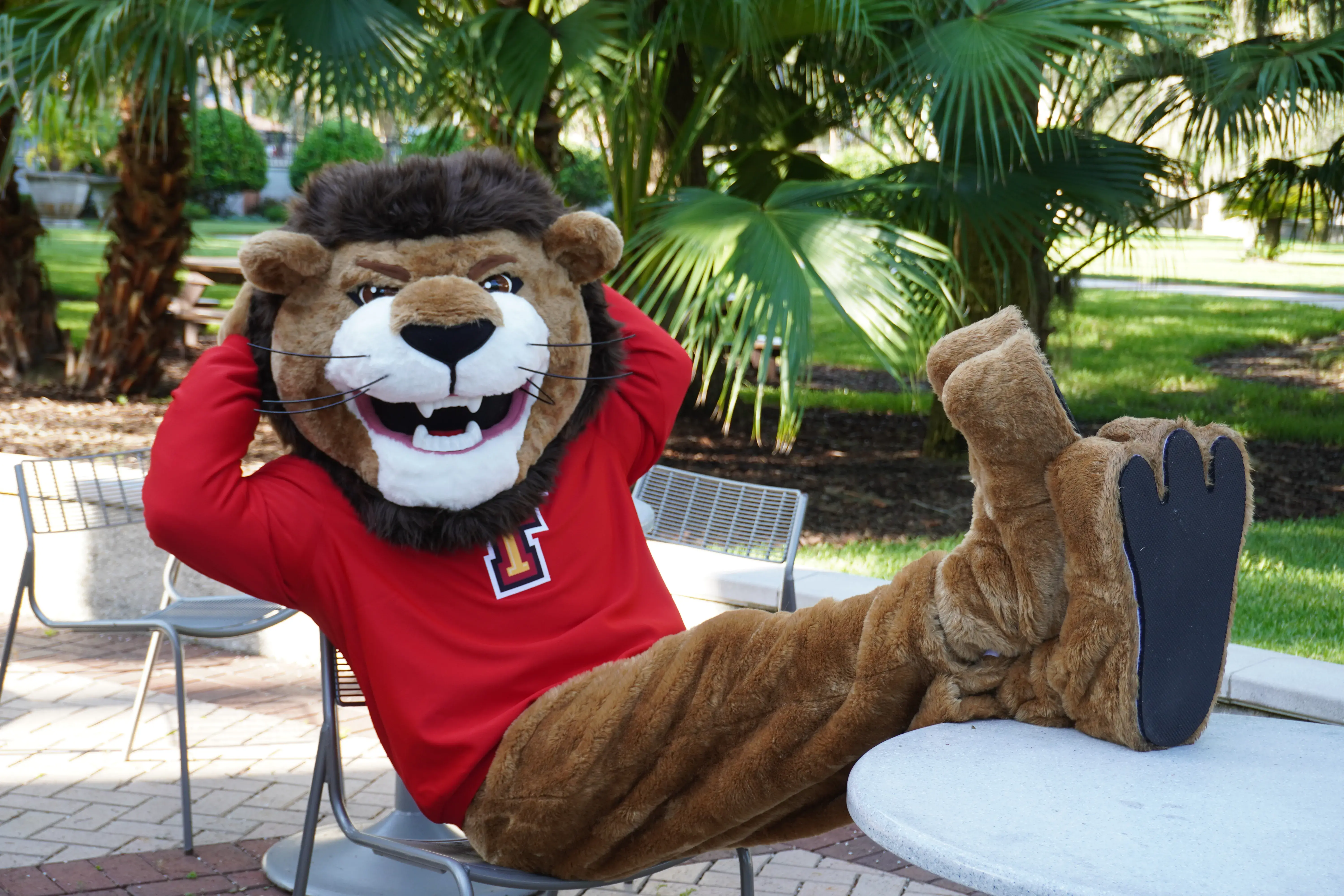 Lewis the Lion on chairs in kenan plaza