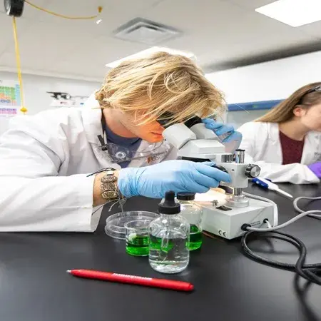Image of student using microscope in the lab