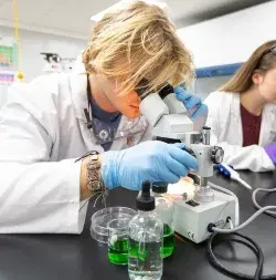 Photo of student using a microscope