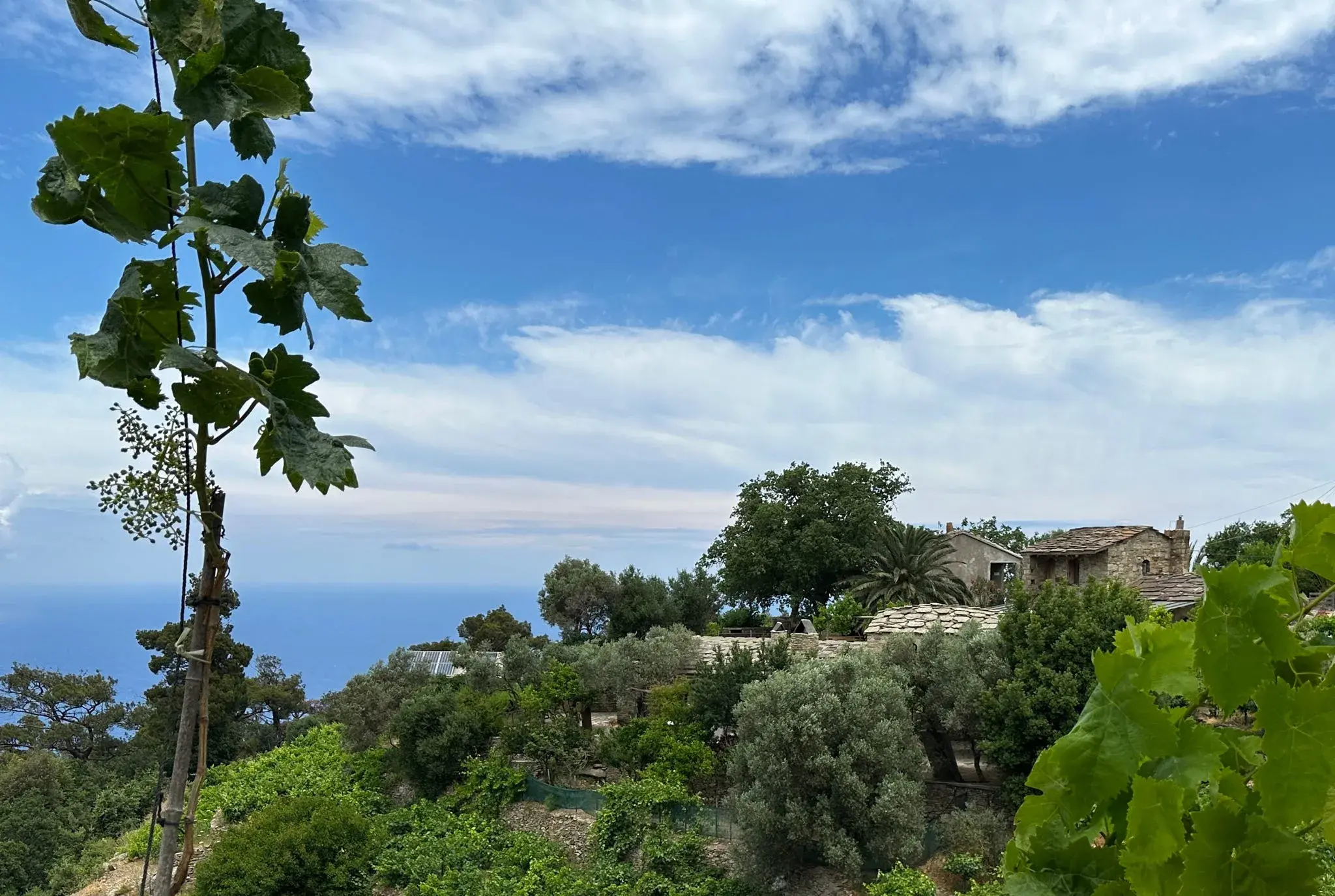 A beautiful landscape photo of Ikaria