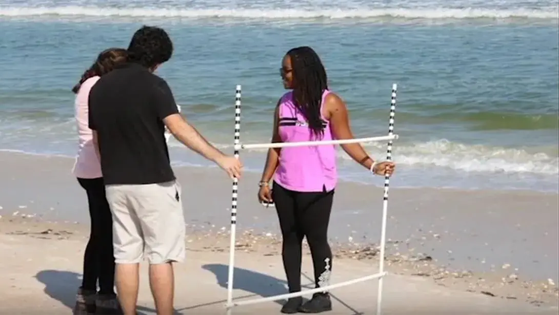 Students researching at the beach